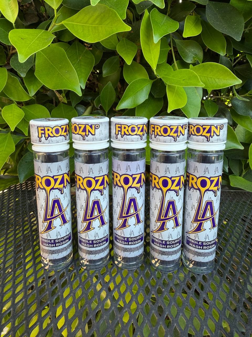 FROZN LA Edition